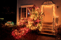 Thanksgiving Outdoor Lights