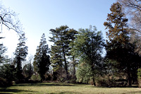 Woodlawn_Grounds_2