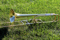 IMG_9700 NN