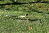 IMG_9707 NN