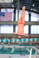 101 Day 1 Diving Warmup