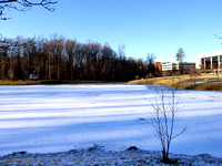Snow at Mason Pond 020807