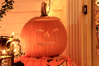 IMG_9884 NN