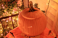 IMG_9889 NN