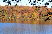 Burke Lake Park in Fall Colors 111021