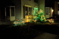 IMG_1426 NN