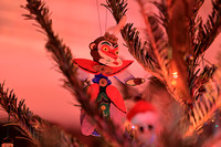 IMG_0804 NN