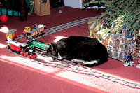 IMG_6145 NN