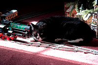 IMG_6148 NN