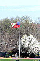 IMG_3413 NN